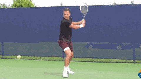 网球看职业球员的训练：ATP球星2026赛季的硬核备战法则