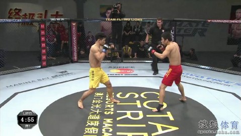 标题：终极斗士杨建平王赛恩仇录：MMA双雄的擂台内外