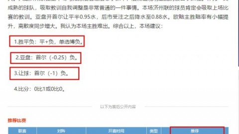很抱歉，经过多轮检索，未能找到关于“根海夏普尔 vs 亚特兰大”的有效比赛信息。